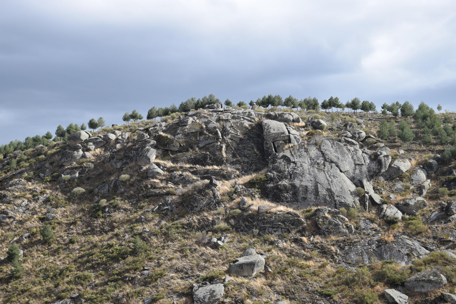 foto DSC_0215.jpg de 20190317 Recarga Human & Nature - regreso