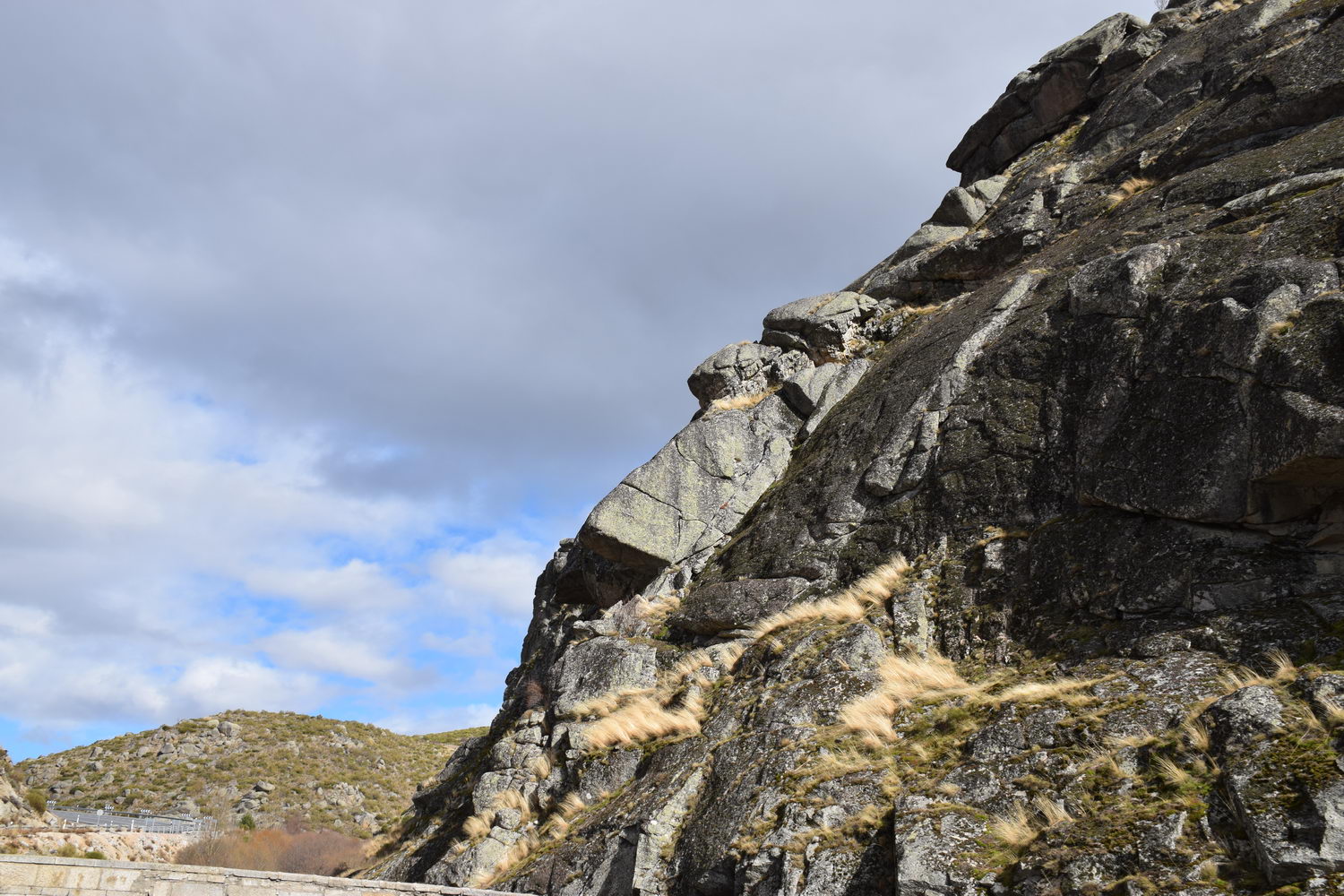 foto DSC_0243.jpg de 20190317 Recarga Human & Nature - regreso