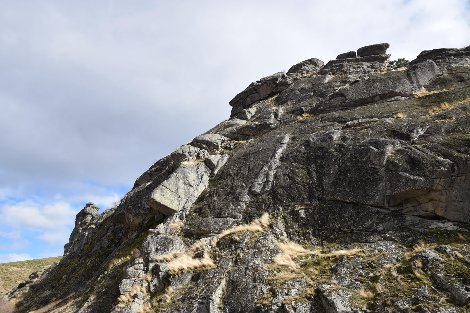 foto DSC_0244.jpg de 20190317 Recarga Human & Nature - regreso