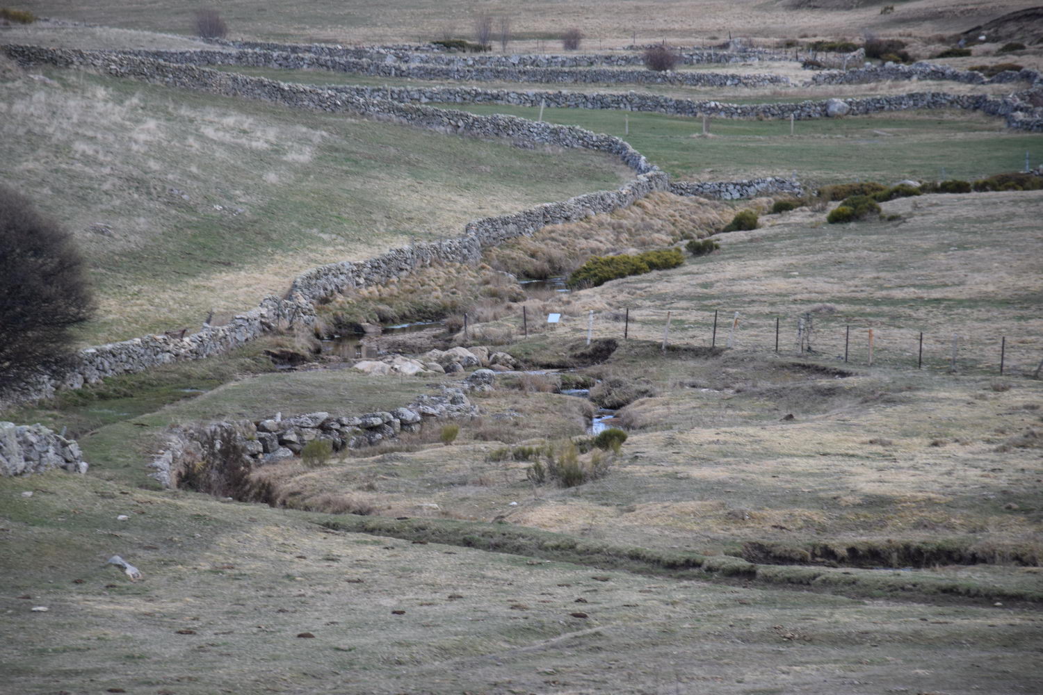 foto DSC_0266.jpg de 20190317 Recarga Human & Nature - regreso