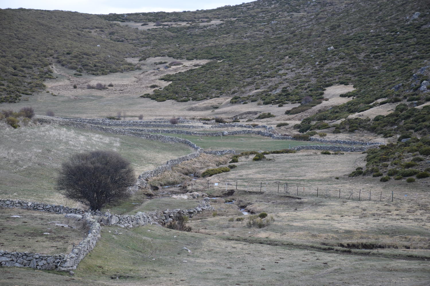 foto DSC_0267.jpg de 20190317 Recarga Human & Nature - regreso