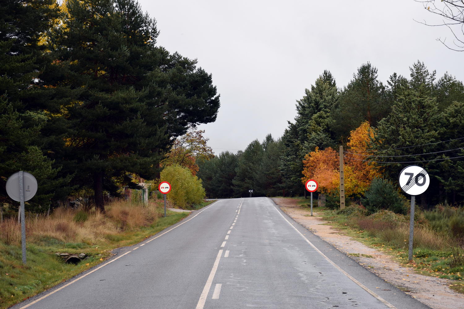foto DSC_0146.jpg de 20191101 Otoño Human & Nature A